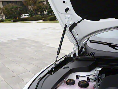 2026�� 126������ Max