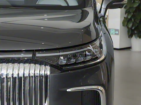 2025�� EV �������������