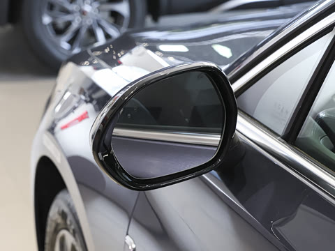 2026�� 2.0T �Զ��쳩Pro��