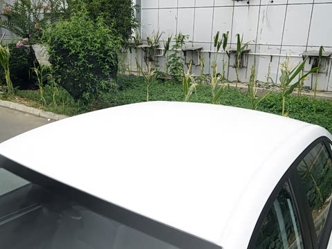 2027�� ���� 1.5L �ֶ�������
