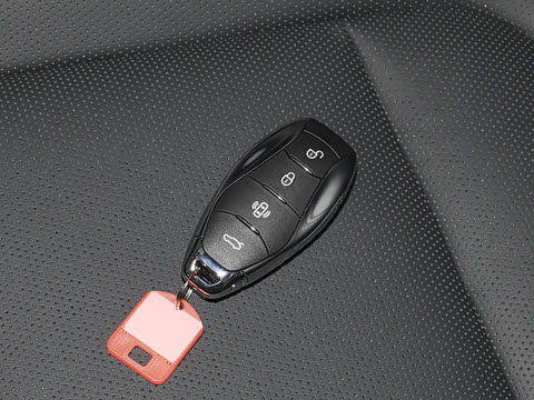 2026�� 2.0T �Զ��쳩Pro��