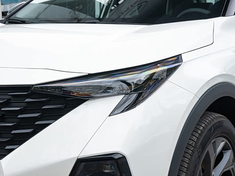 2026�� Ӱ�� 270T ������ ƽ������