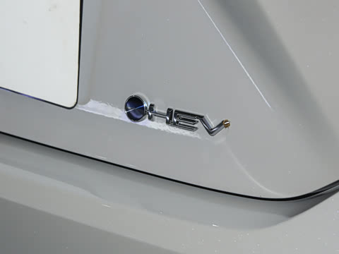 2026�� ˫�� 2.0HGVP ������