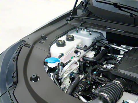 2026�� 121km ���ʰ� 5��