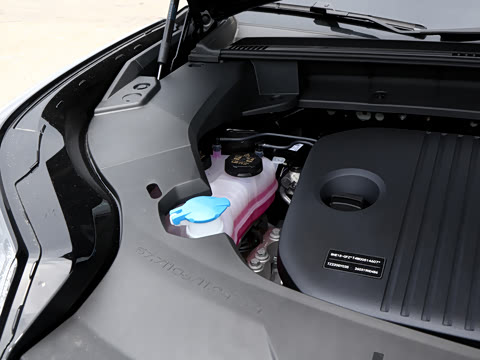 2026�� 230��������Max