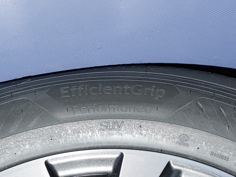 2026�� ˫�� 2.0L ����������