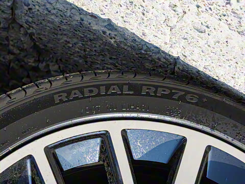 2025�� 550������