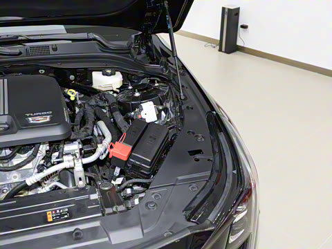 2025�� 28T �������ܰ�+�۷�����ѡװ��