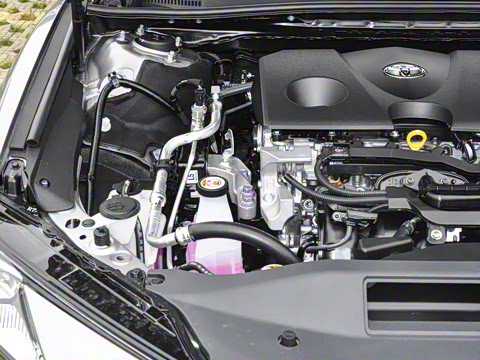 2026�� ˫�� 2.0HXS �˶�Plus��