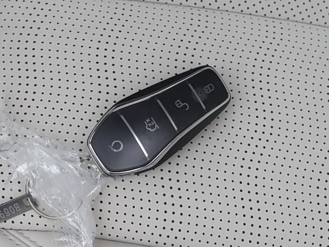 2026�� DM-i 220������