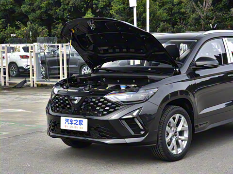 2026�� 280TSI �Զ��ȷ��