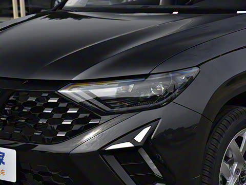 2026�� 280TSI �Զ��ȷ��