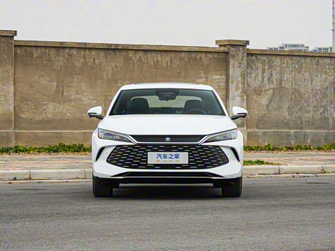 2026�� DM-i 210KM��Խ��