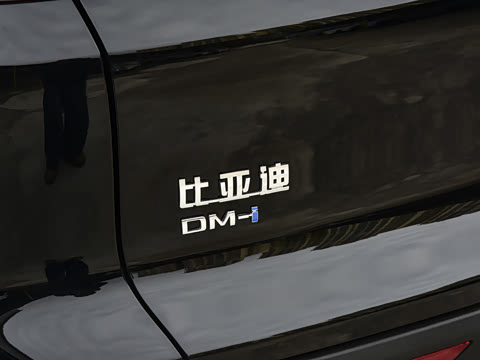 2026�� DM-i 220KM��Խ��