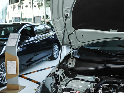 2026�� 2.0L ���ܵ��˫�� �ȷ��