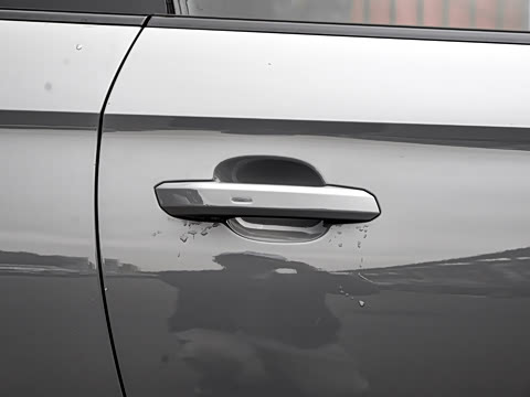 2024�� RS 5 2.9T Coupe ȼ���