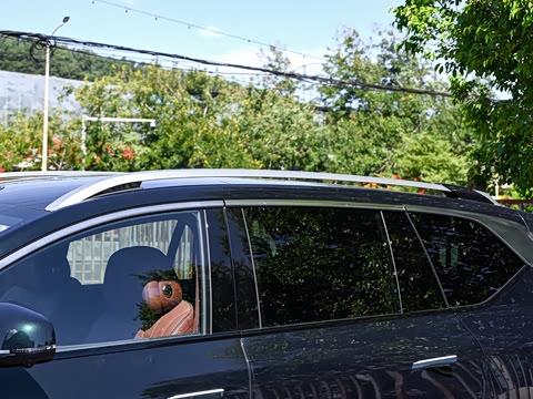 2025�� 350 Pro���������״��