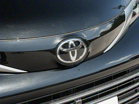 2026�� 2.5L ˫������������