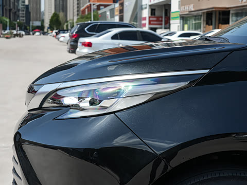 2026�� 2.5L ˫������������