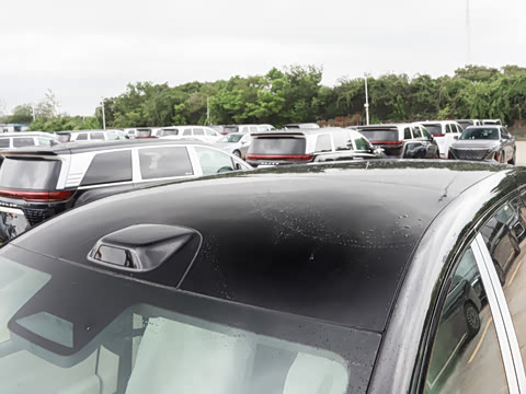 2025�� ������