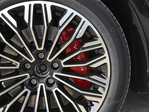 2025�� FREE+ ����Ǭ����