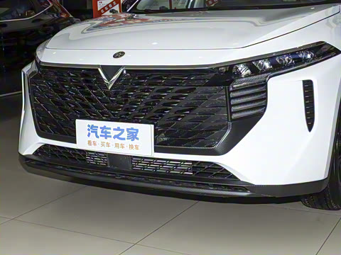 2026�� 260T ���ǰ� Pro