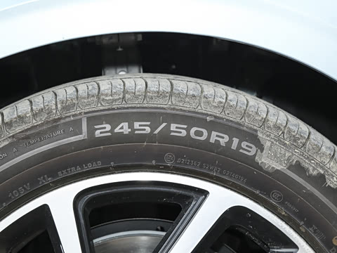 2025�� ���� Plus ��������