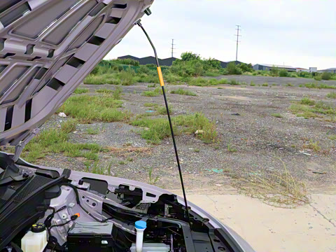 2025�� 450km ������