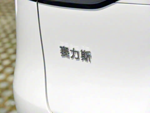 2025�� ���� Max+ ������������ 