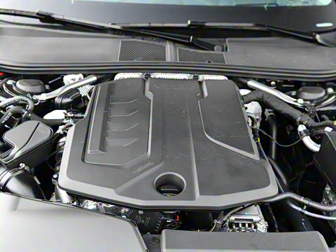 2025�� Avant �����