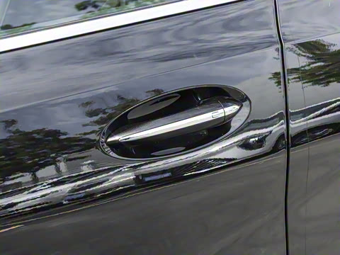 2026�� ������Plus ����Avenir��ά��