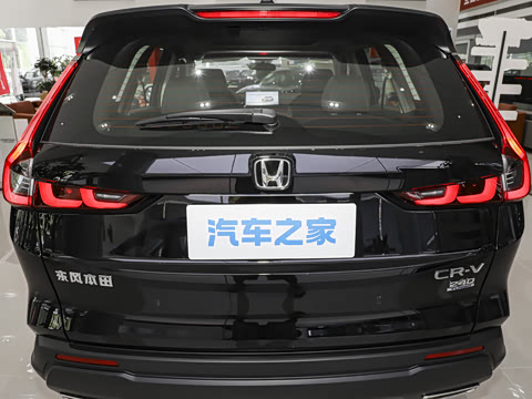 2026�� ȫ��30����ҫ�� 1.5T ��������5����