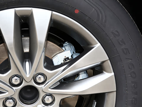 2026�� 2.5L ˫������������