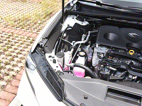 2026�� ˫�� 2.0HE ��Ӣ��