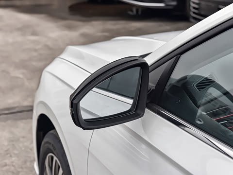 2026�� 300TSI DSG�ǿ����Ȱ�