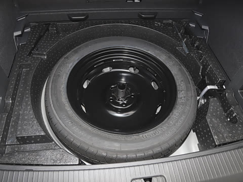 2026�� 3000������ѡ�� 300TSI