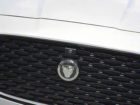 2025�� 2.0T P300 ����90�����ذ�