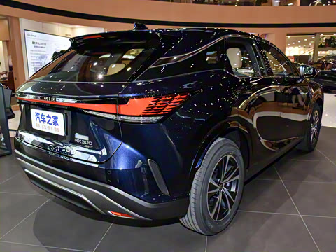 2026�� 300 ����������