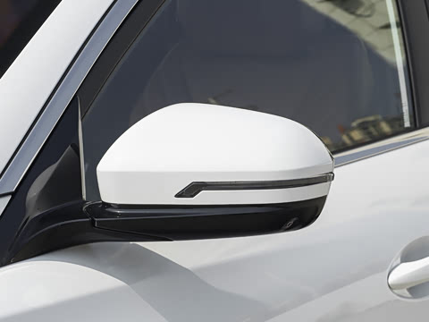 2026�� 290TGDI DCT������ 5��