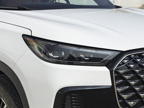 2026�� 290TGDI DCT������ 5��