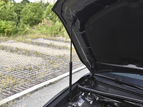 2026�� ˫�� 2.0HG ��԰�