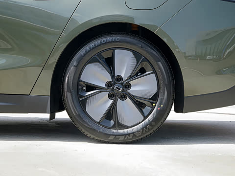 2026�� ���� 565 Plus
