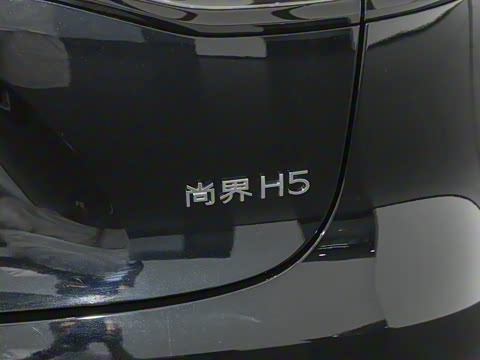 2025�� ���� Max ������