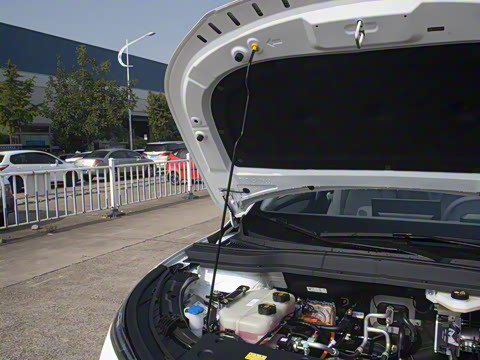 2025�� 565km ������