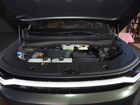 2025�� 205km Pro+�����״��