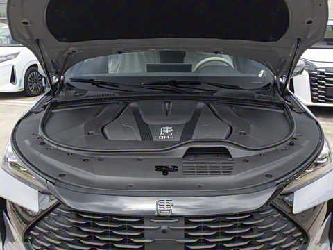 2025�� �Ǽݰ� DM-i 175KM �����