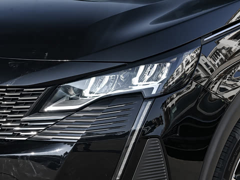 2025�� ������