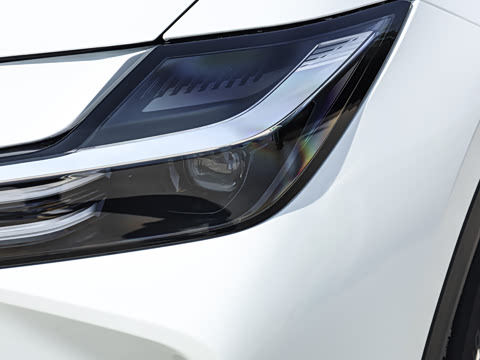 2026�� ������ JOY