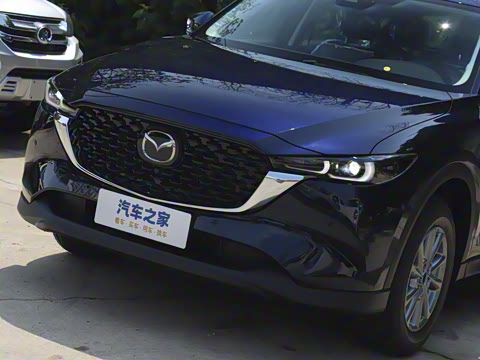 2025�� 2.0L �Զ���������Pro