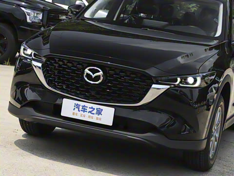 2025�� 2.0L �Զ�����������